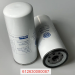 Фильтр топливный тонкой очистки WP10/12 (612630080087)